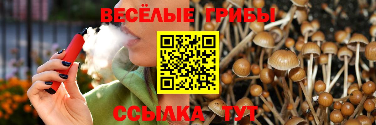 Галлюциногенные грибы мицелий  Вход с VPN  Сердобск 